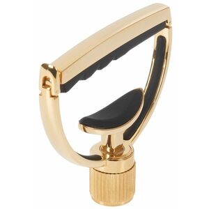 G7th Heritage 1 12-String Guitar Gold kép