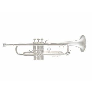 Bach ML180S-37 with Double Gig Bag kép
