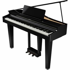 Roland GP-3 kép