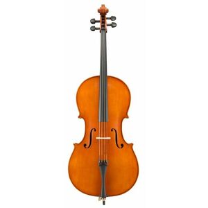 Eastman Andreas Eastman Cello 4/4 (VC250SBC) kép