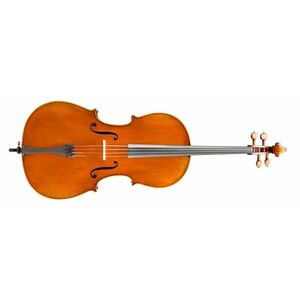 Eastman Amsterdam Atelier 2 Series 4/4 Cello kép