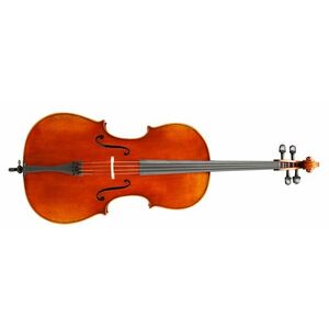 Eastman Frederich Wyss Cello 4/4 (VC703G) kép