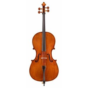 Eastman Raúl Emiliani Cello 4/4 (VC928) kép