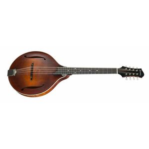 Eastman MDO305 kép