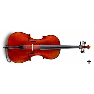 Eastman 5-String Rudoulf Doetsch Series+ Cello 4/4 (VC7015G+) kép