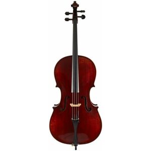 Eastman Amsterdam Atelier 1 Series 4/4 Cello kép
