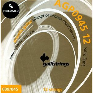Galli AGP0945-12 PROcoated Phosphor Bronze 12 String Extra Light kép