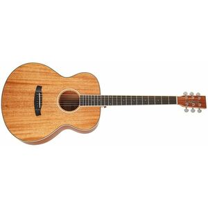 Tanglewood TUN3 kép