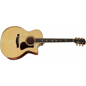 Eastman AC622CE kép