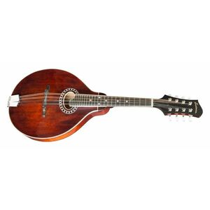 Eastman MD504 kép