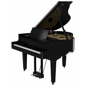 Roland GP-9 PE kép
