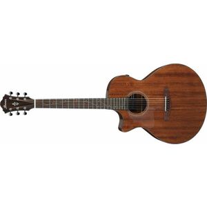 Ibanez AE295LS Natural kép