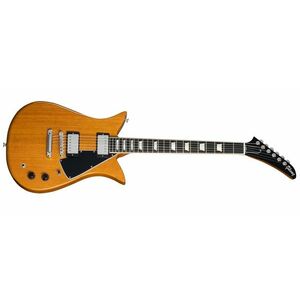 Gibson Theodore Standard Antique Natural kép