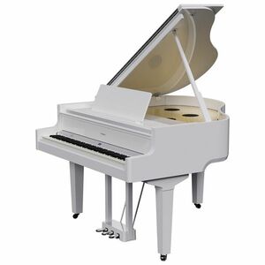 Roland GP-9M PW kép