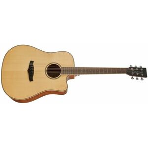 Tanglewood TP5SE kép