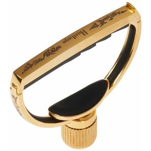 G7th Heritage 3 12-String Guitar Gold kép