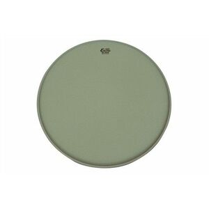 Remo Encore 13" Diplomat Coated kép