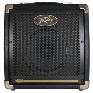 Peavey Ecoustic E20 kép