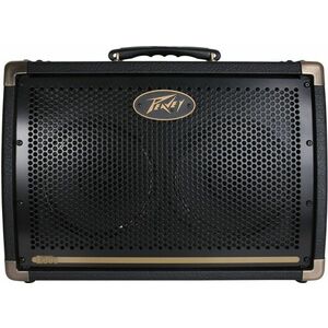 Peavey Ecoustic E208 kép