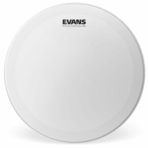 Evans 12" Genera HD Coated kép