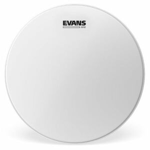 Evans 18" G Plus Coated kép