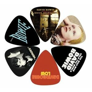 Perri's Leathers David Bowie Picks I kép