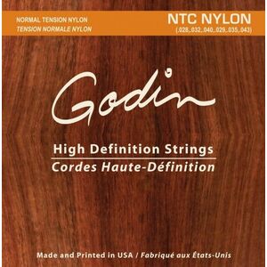 Godin Nylon Normal Tension kép