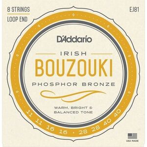 D'Addario EJ81 kép