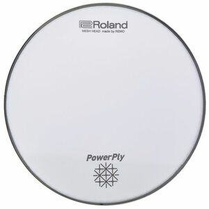 Roland Mesh Head 10" kép