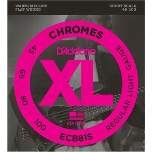 D'Addario ECB81S kép