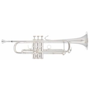 Bach VBS1S kép