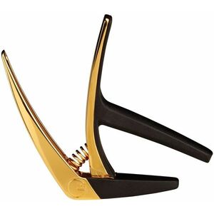 G7th Nashville 6-String Gold kép