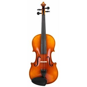 Sandner VIOLIN 606 SIZE 4/4 kép