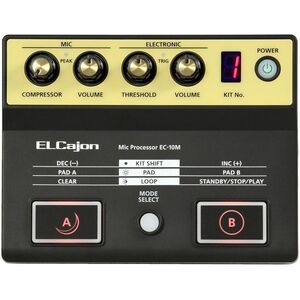 Roland EC-10M kép