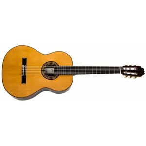 Alhambra Luthier Aniversario kép