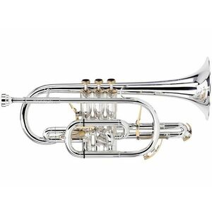 Besson BE2028-2G kép