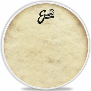 Evans 12" Calftone kép