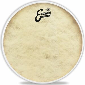 Evans 10" Calftone kép