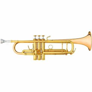 B&S 3137G-L kép