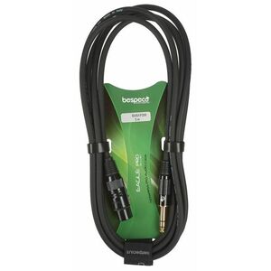 Bespeco EASXF300 kép