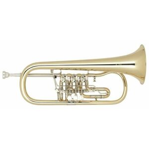 Miraphone 25 1100A100 kép