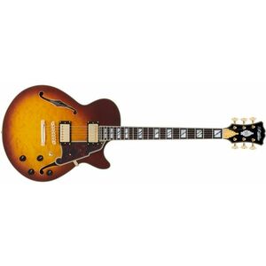 D'Angelico Excel SS XT Iced Tea Burst Quilt kép