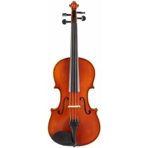 Eastman Samuel Eastman Violin 4/4 (VL50SBC ) kép