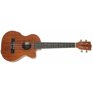 Tanglewood TWT 17 E (kicsomagolt) kép