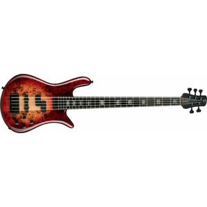 Spector Euro CST 5 Natural Red Burst kép