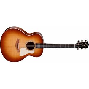 Taylor Gold Label 514e CR SB kép