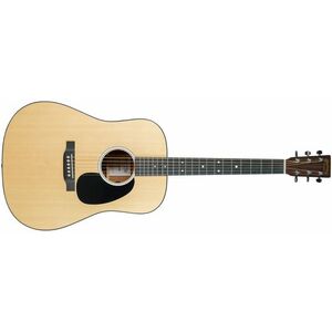 Martin 2021 D-10 kép