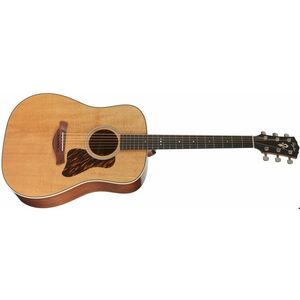 Taylor Gold Label 510e kép