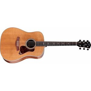 Taylor Gold Label 810e Honduran Rosewood kép