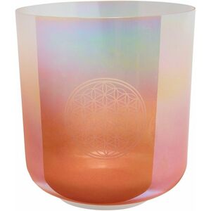 Meinl Sonic Energy ECSB128FOL kép